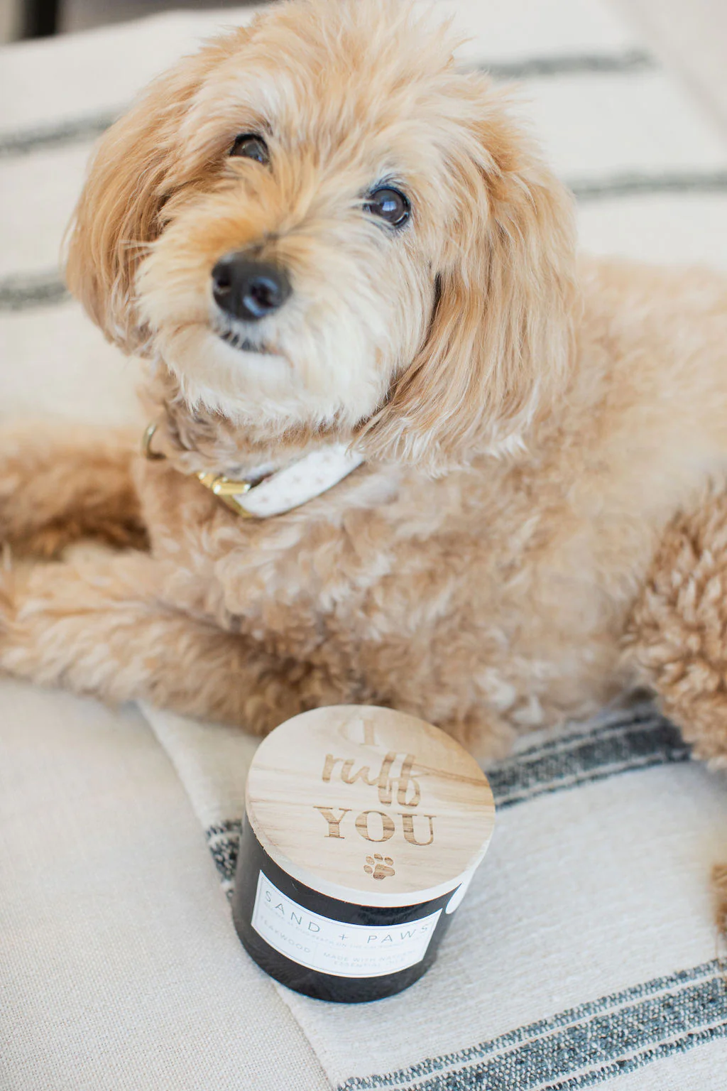 Sand + Paws Teakwood 12 oz scented candle - Image 5