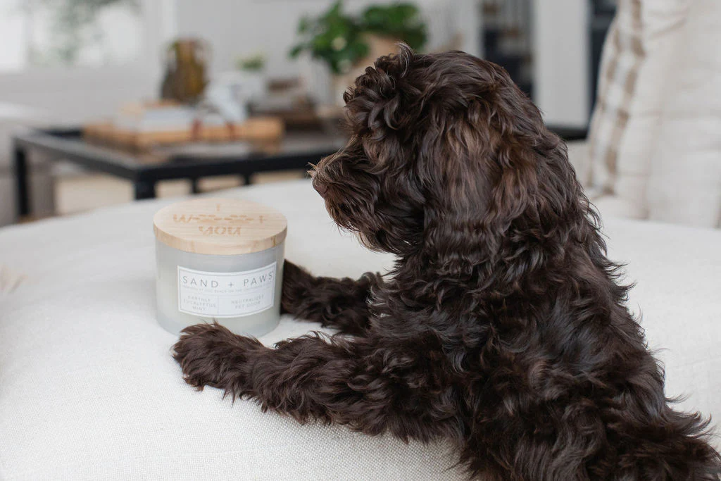 Sand + Paws Earthly Eucalyptus Mint 12 oz scented candle - Image 5