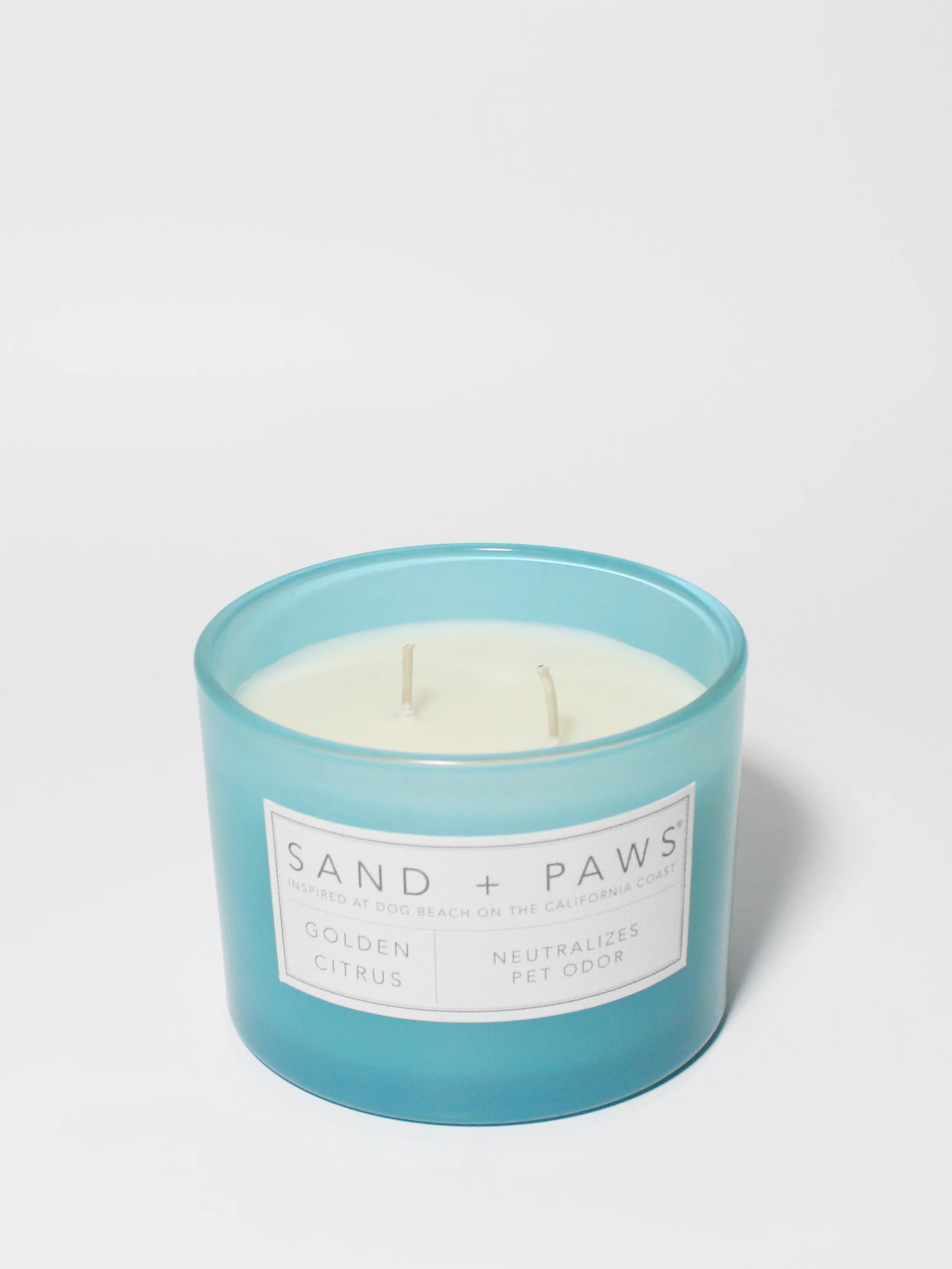 Sand + Paws Golden Citrus 12 oz scented candle - Image 3