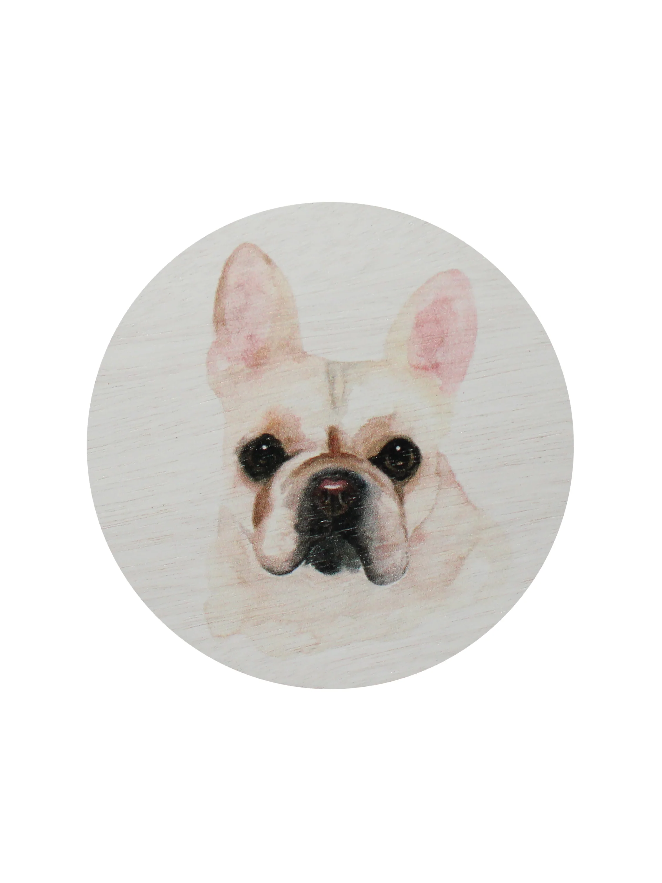 Sand + Paws Tarocco Orange 12 oz scented candle - Image 4