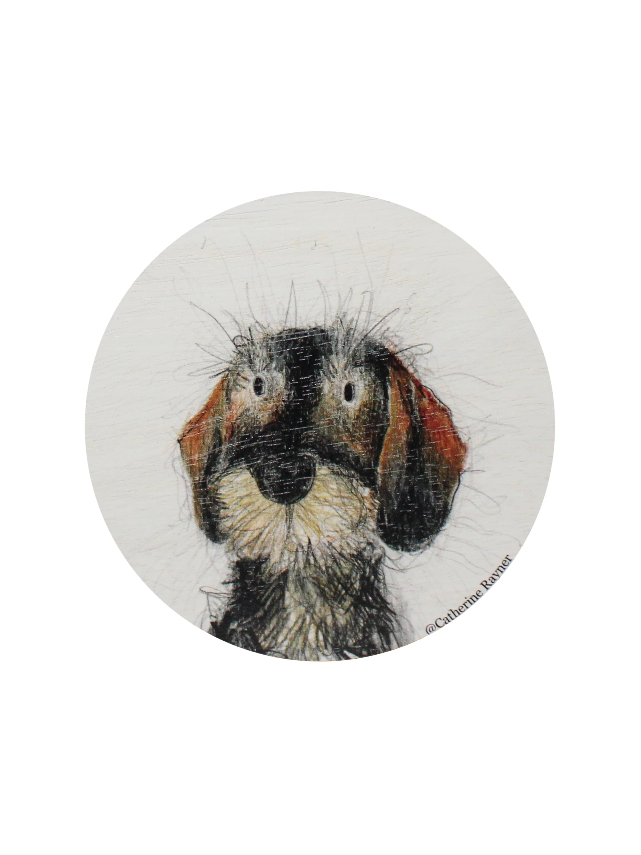 Sand + Paws Teakwood 12 oz scented candle - Image 4