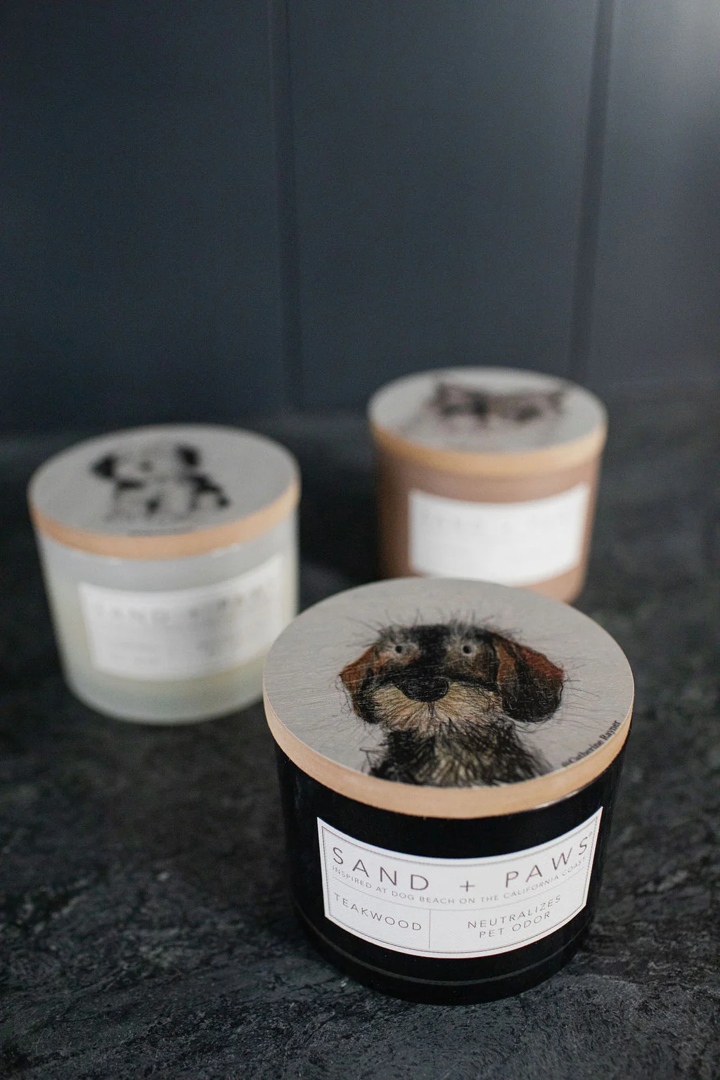 Sand + Paws Teakwood 12 oz scented candle - Image 5