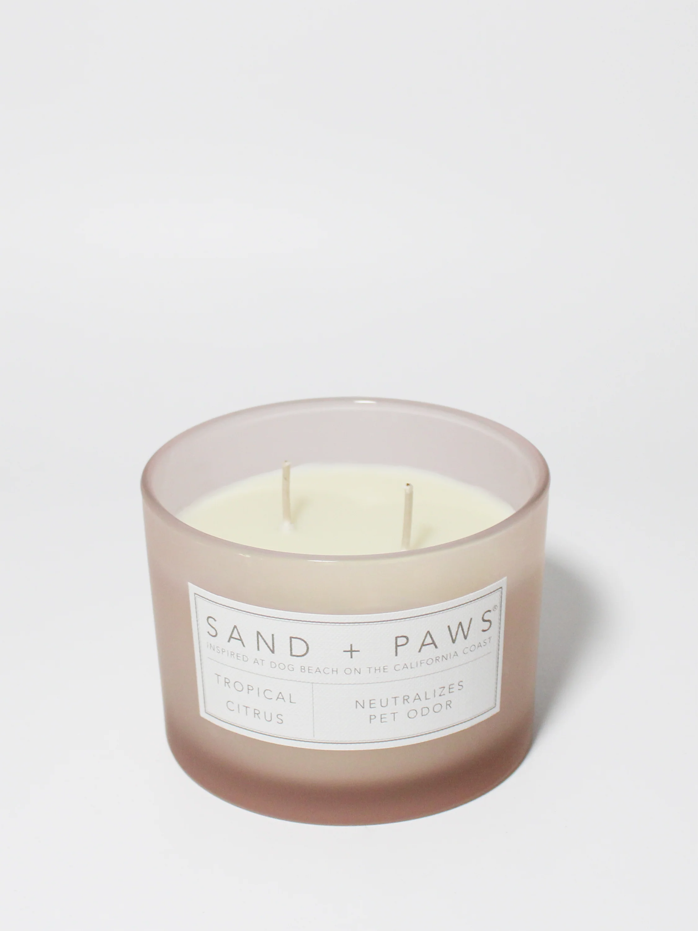 Sand + Paws Tropical Citrus 12 oz scented candle - Image 3