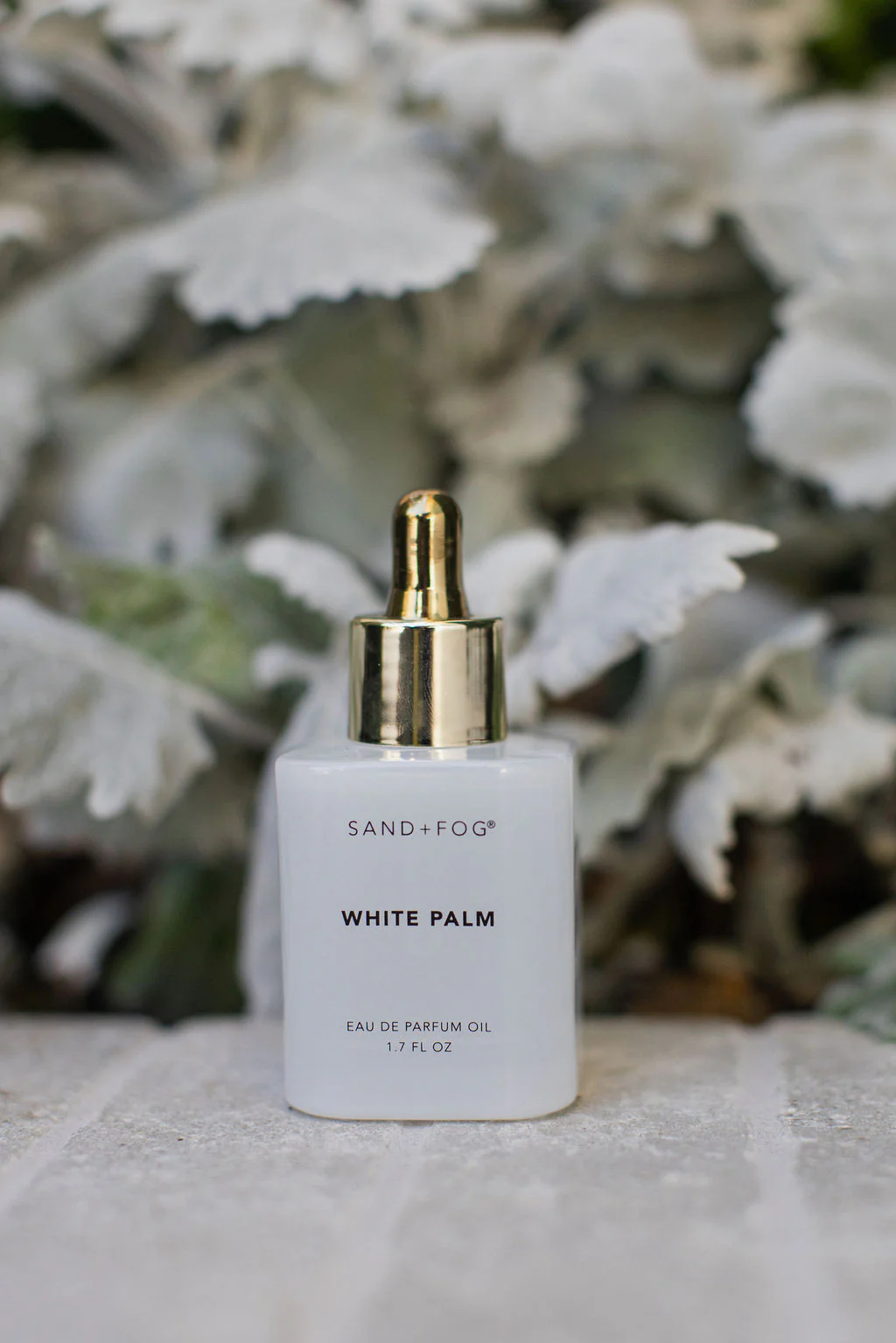 White Palm 50 ml Perfume Oil Dropper - Image 4